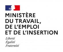 Ministère du Travail, de l'Emploi et de l'Insertion. Liberté, Egalité, Fraternité.